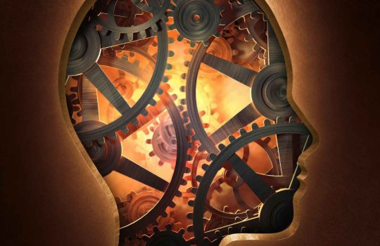 School of Psychology2